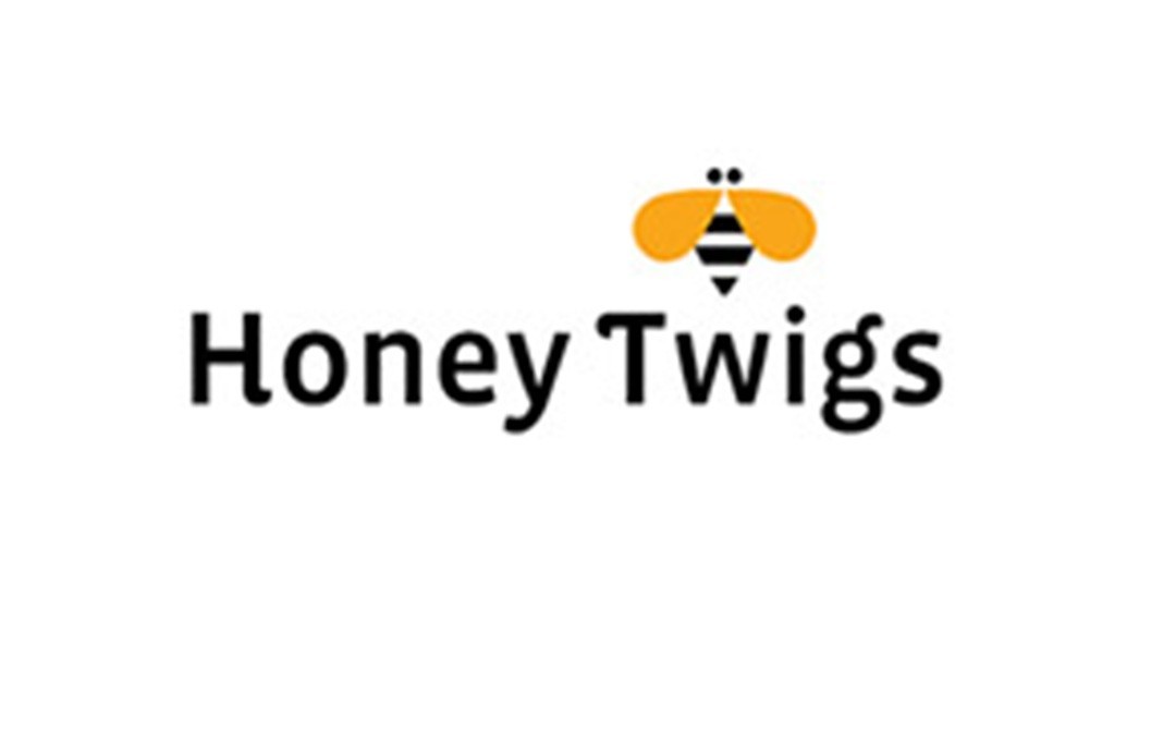 Honey Twigs Cinnamon Infused Honey Without The Mess   Jar  240 grams
